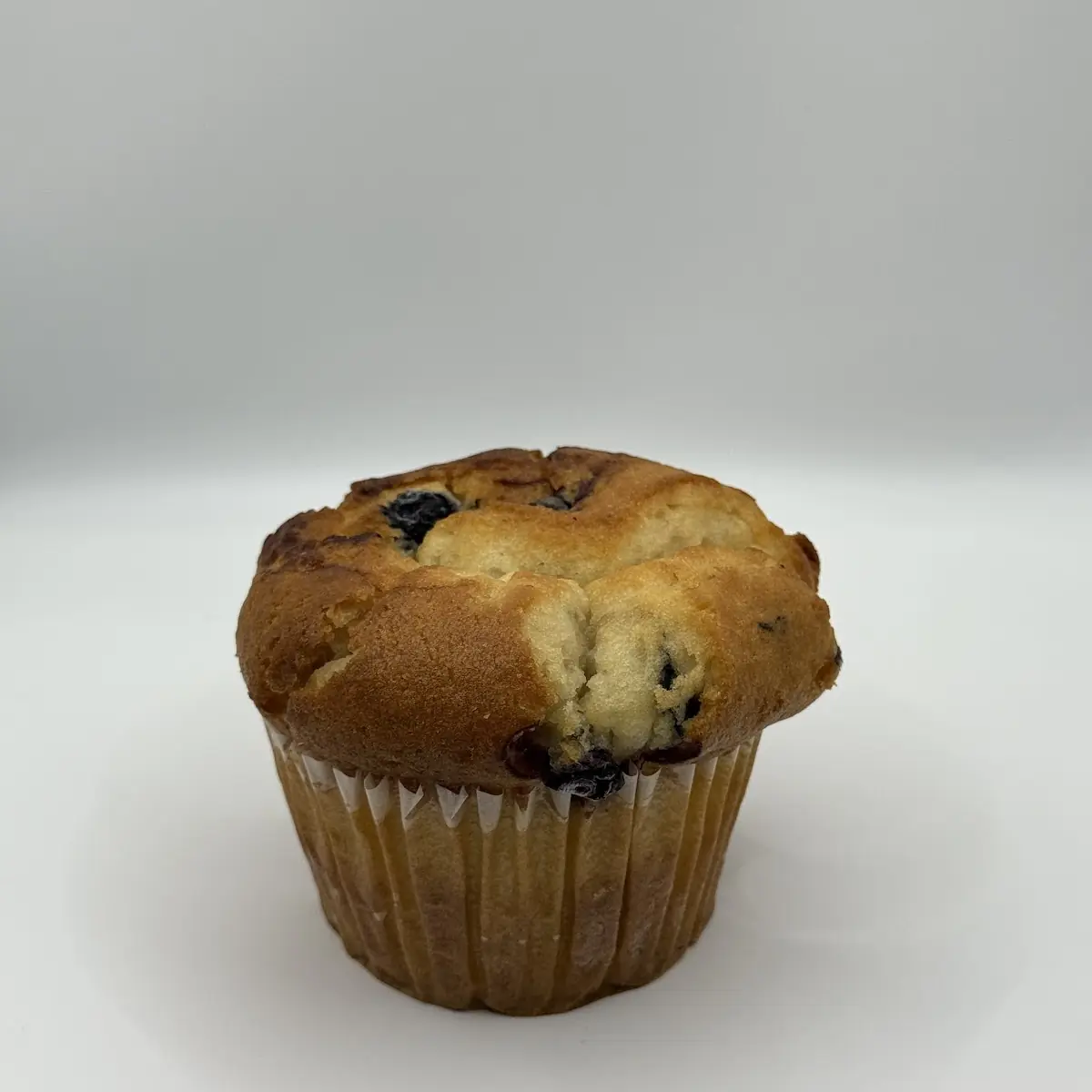 Blueberry Muffin