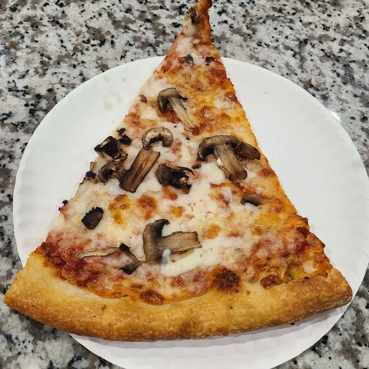 Cheese Pizza with Mushrooms