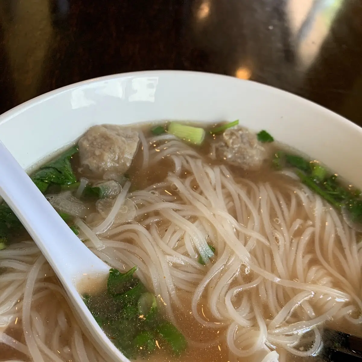 Plain Pho