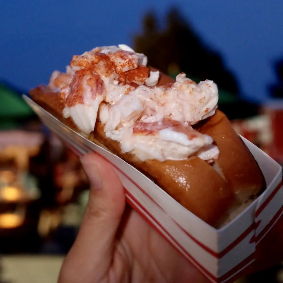 Lobster Roll