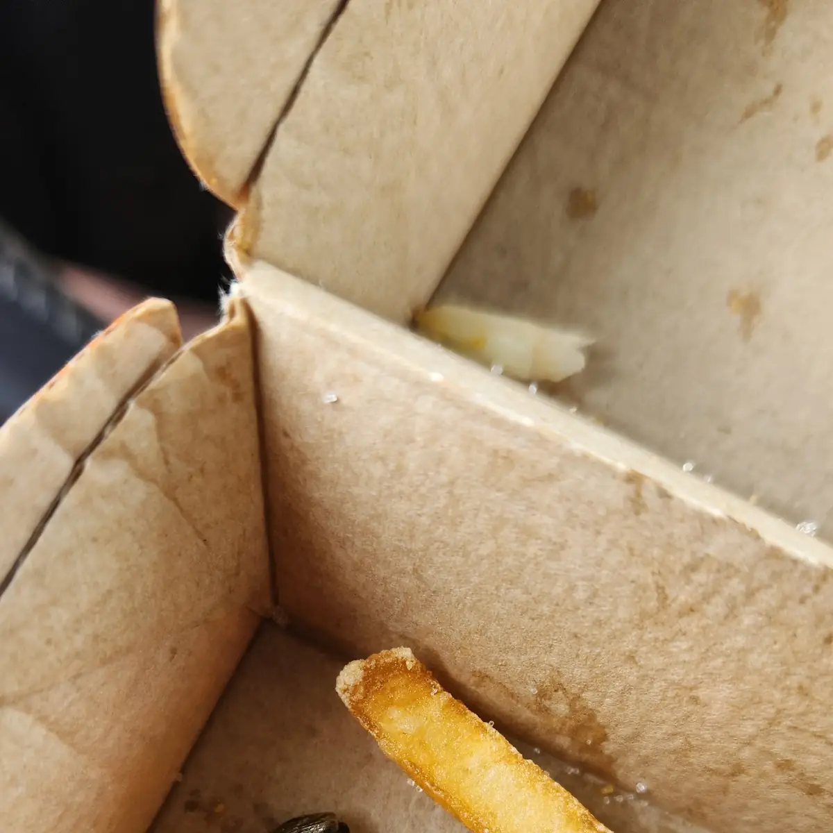 World Famous Fries
