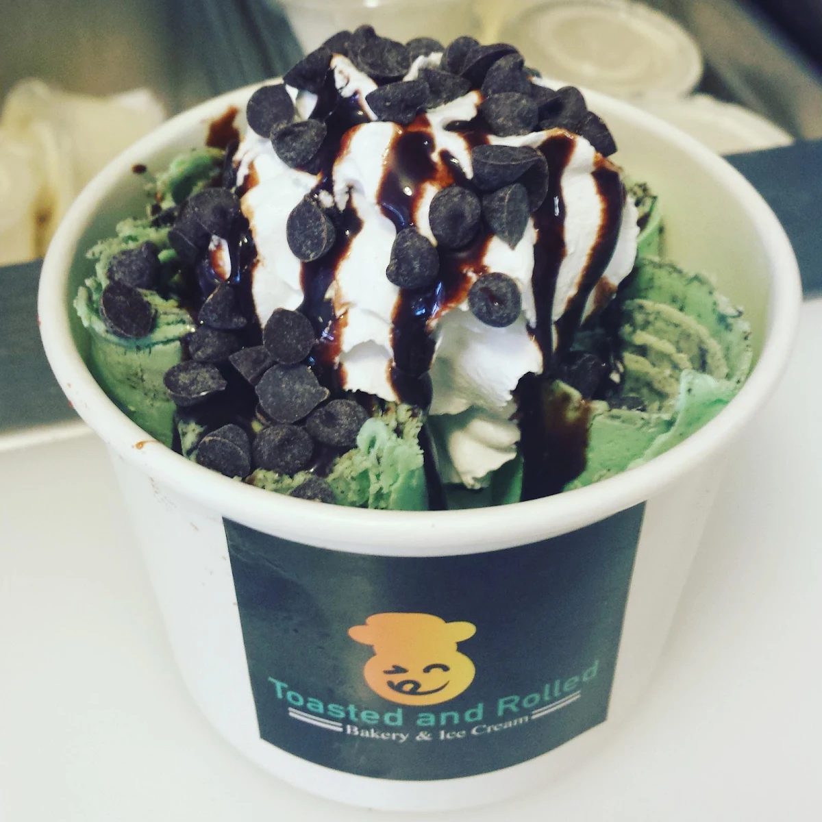 Mint Chocolate Chip Ice Cream