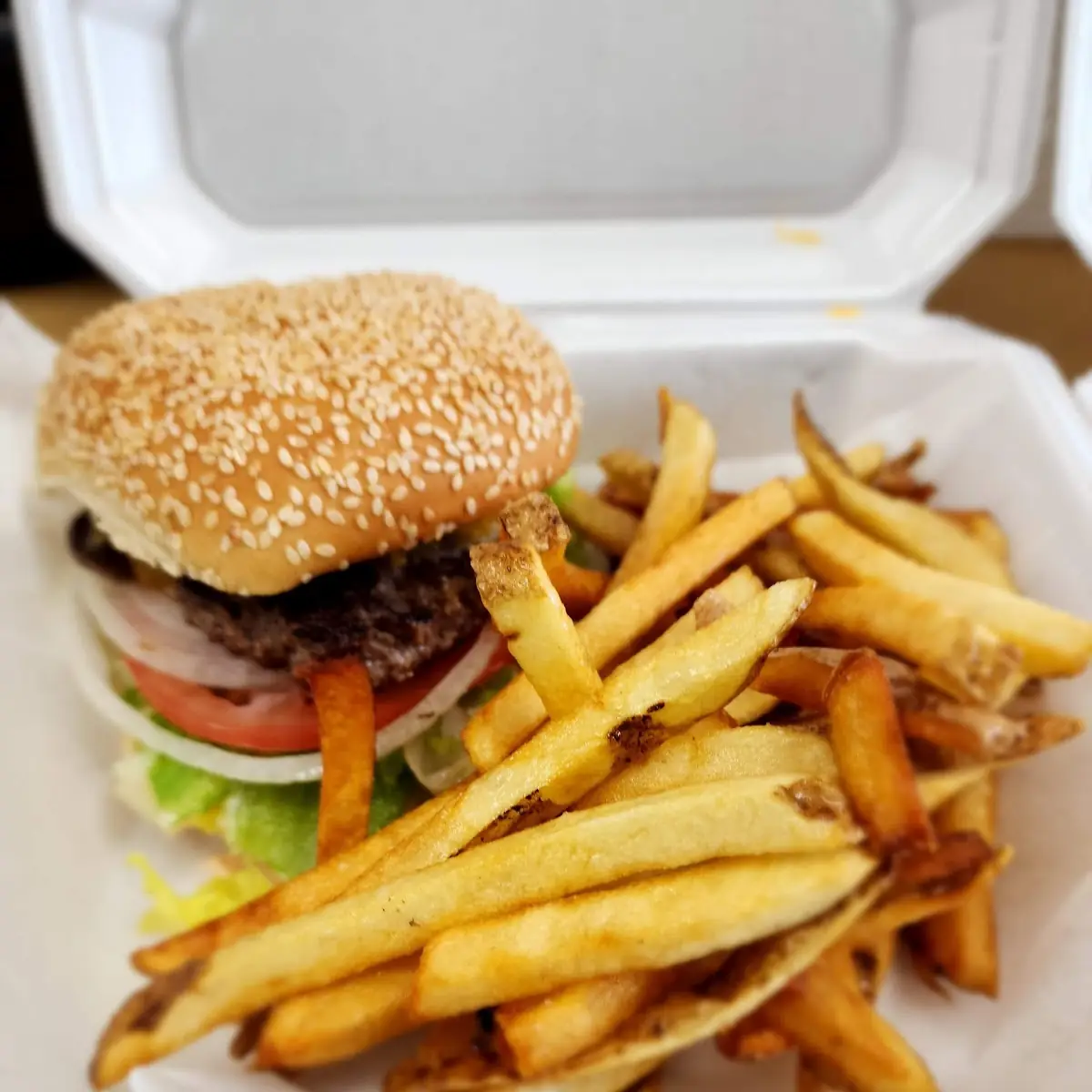 Single Cheese Burger with French Fries