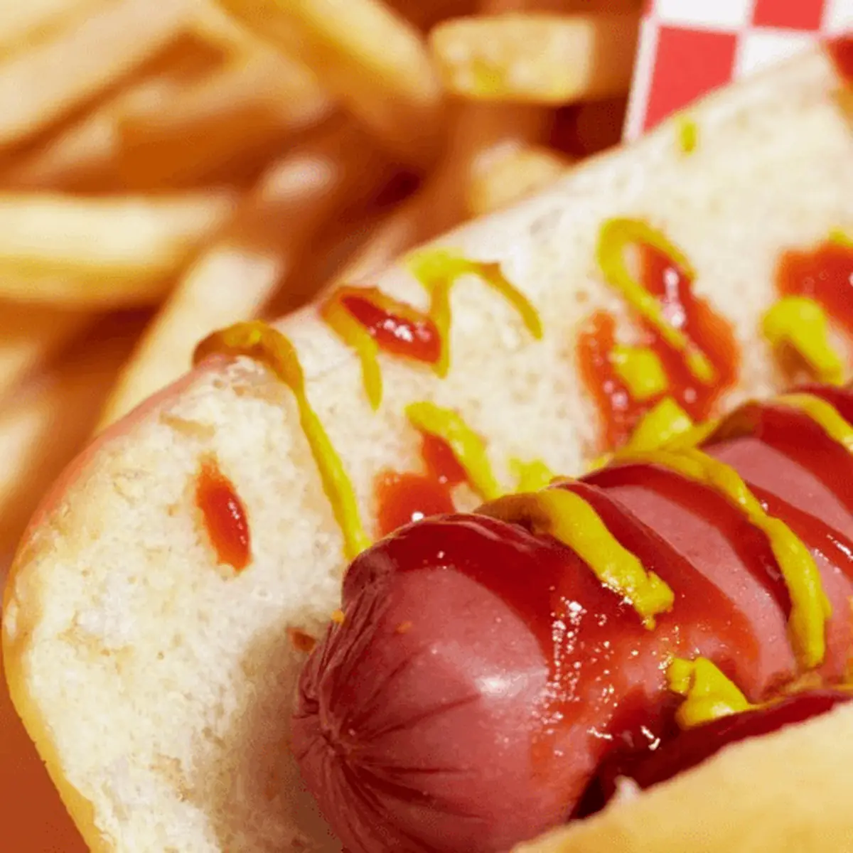 Hot Dog & Fries