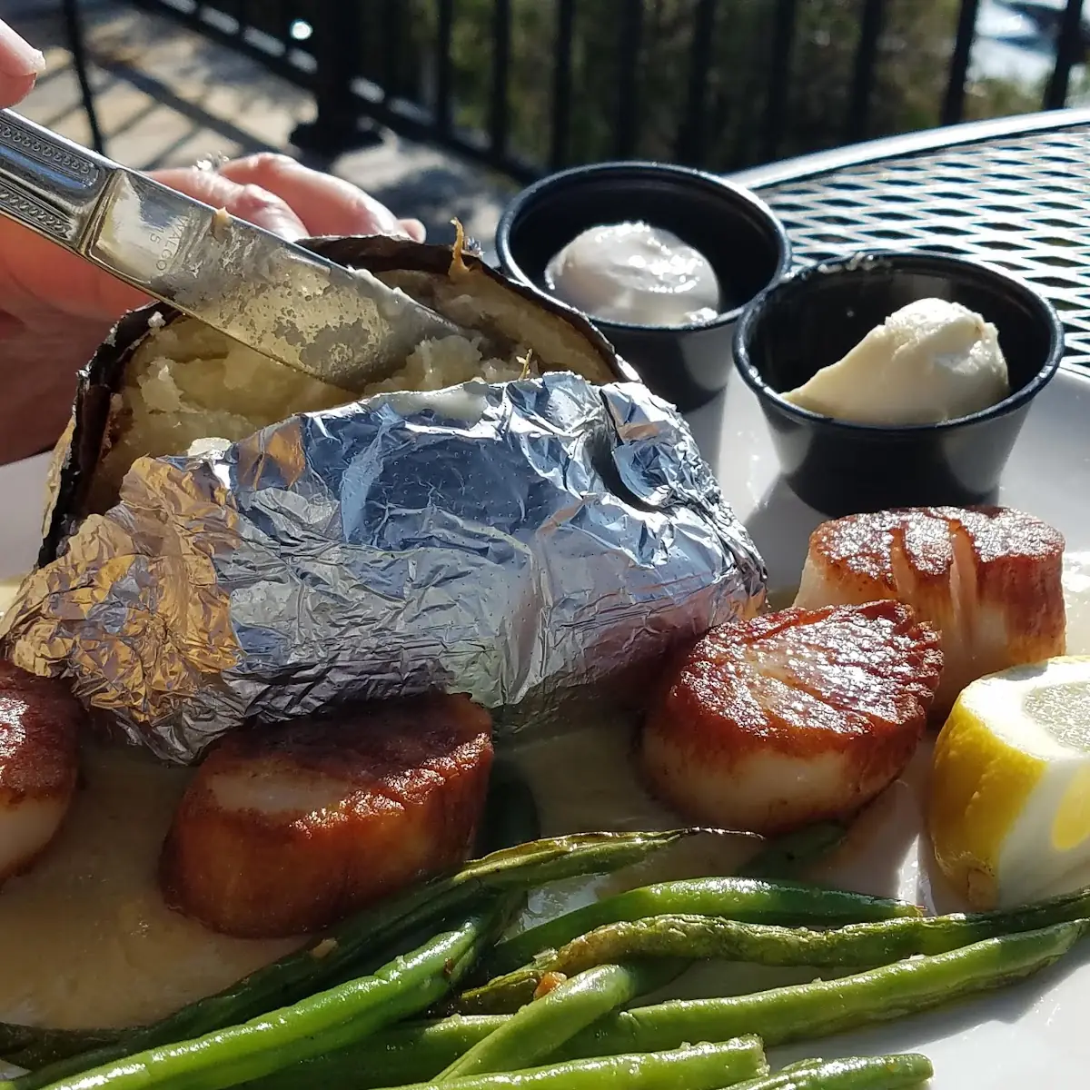 Sea Scallops