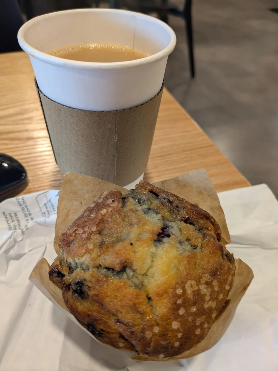 Blueberry Muffin