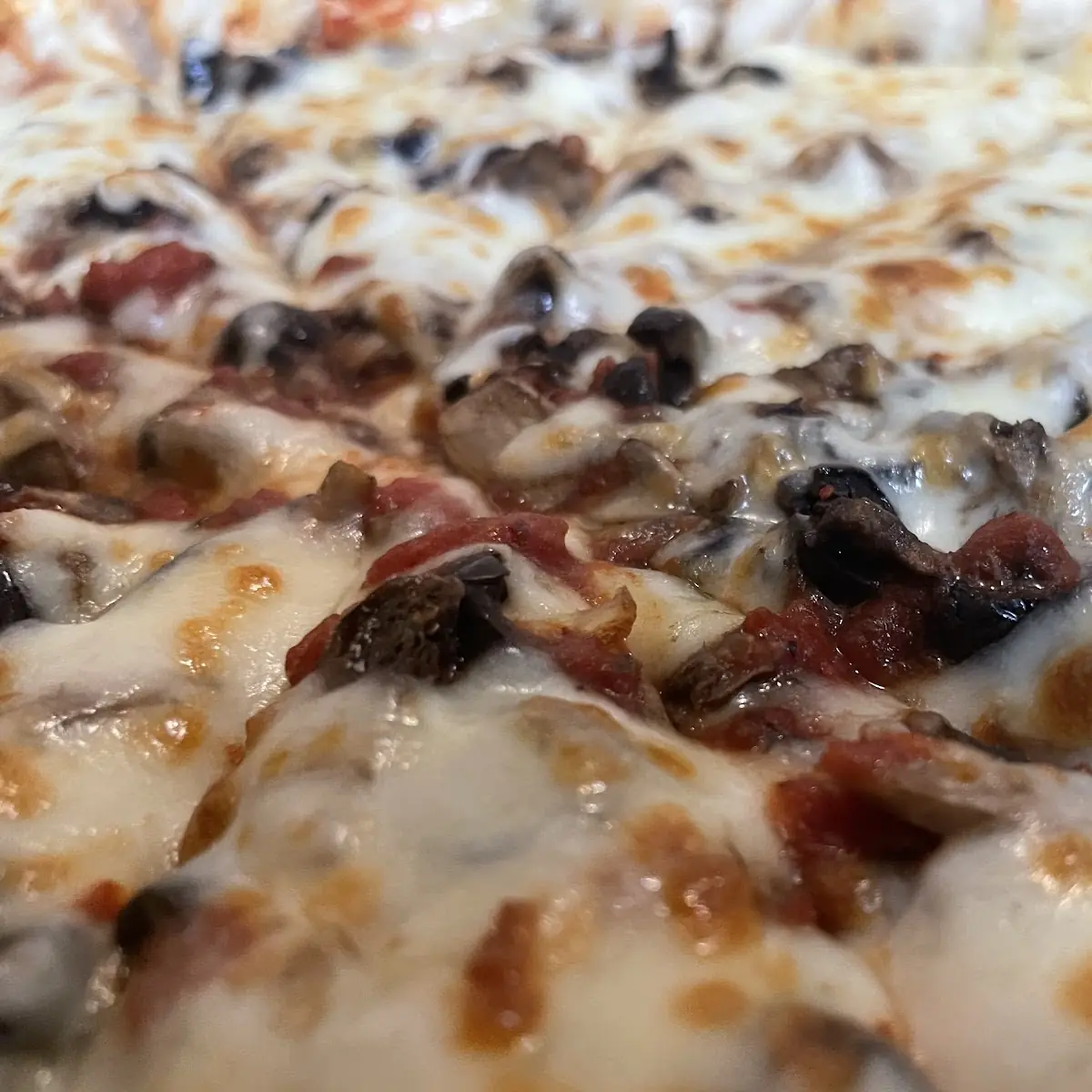 Black Olive and Mushroom Pizza