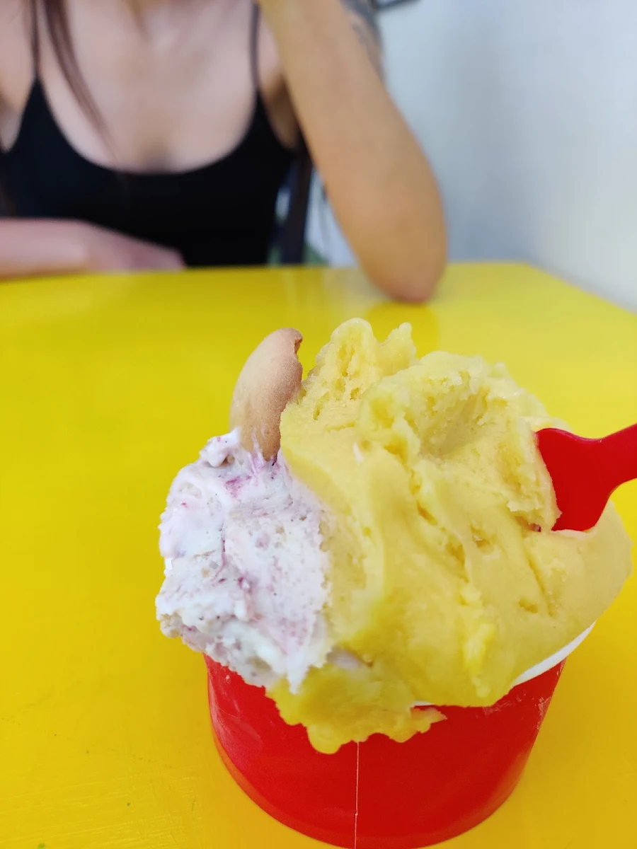 Blueberry Cheese Cake Mango Sorbet