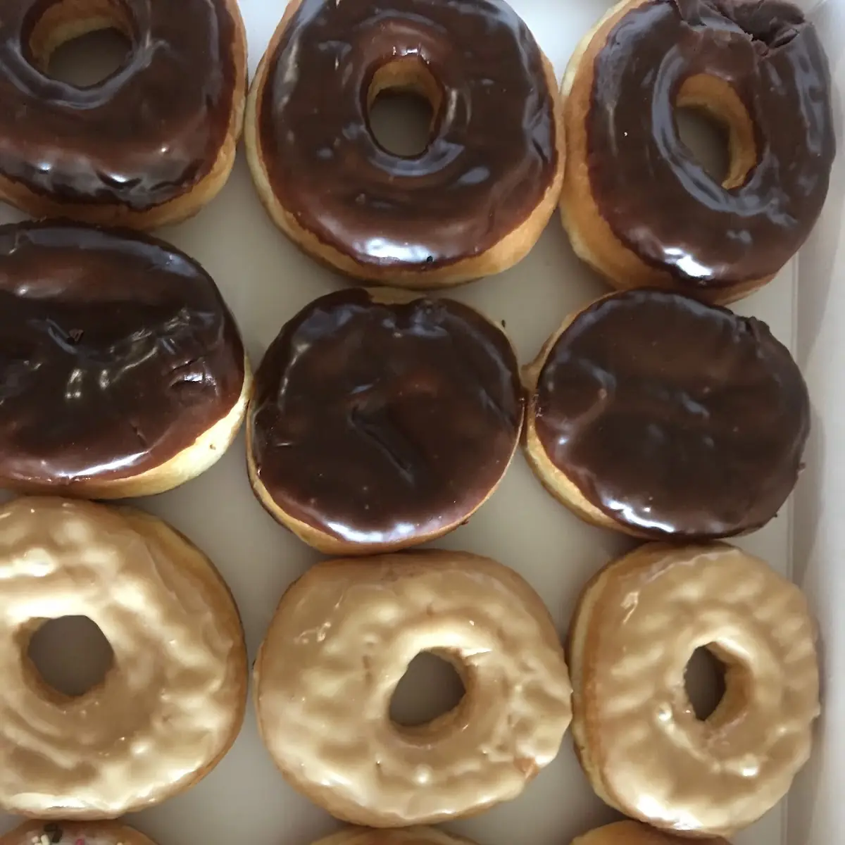 Doughnut