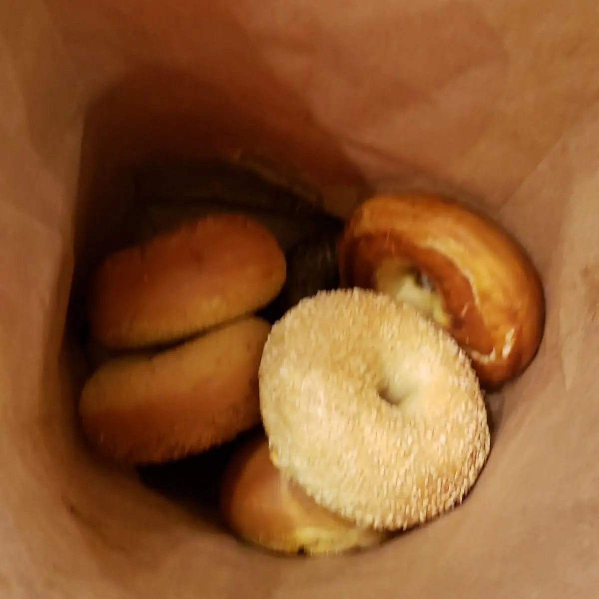 Doughnut