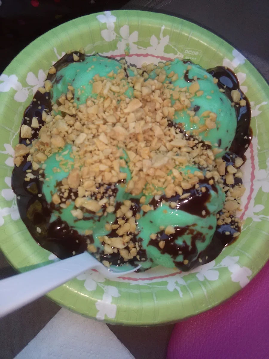 Mint Chocolate Chip Hot Fudge Sundae