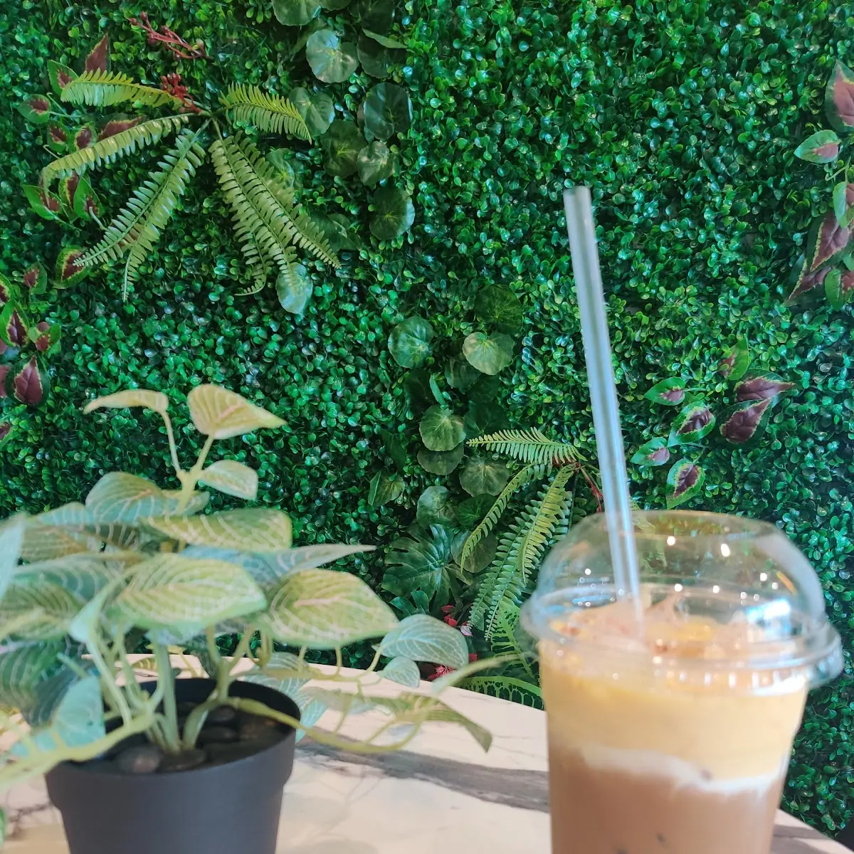 Vietnamese Coffee Egg Milk Foam