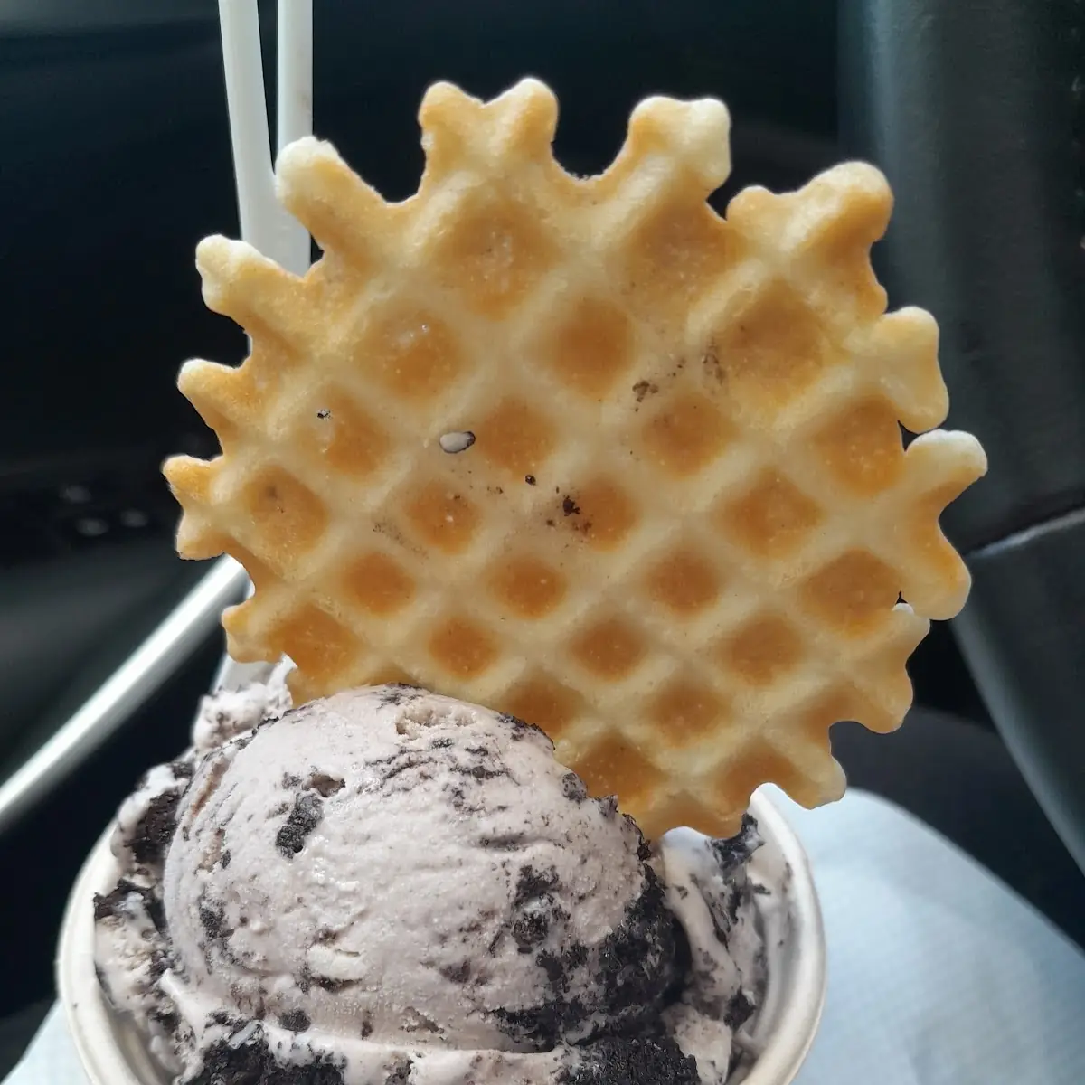 Single Chocolate Chip Cookie Dough