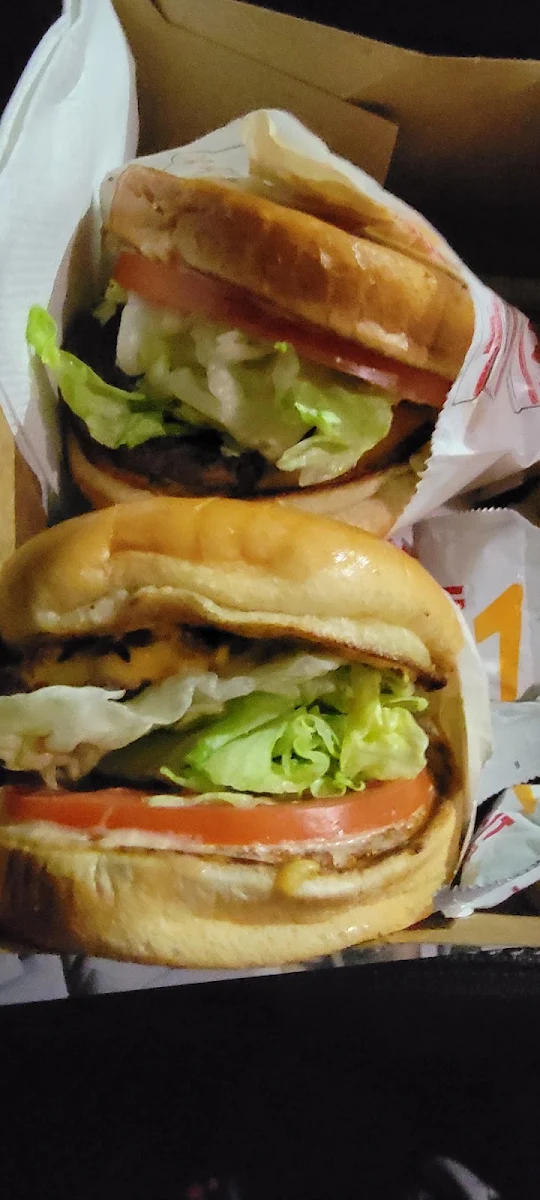 Single Cheese Burger