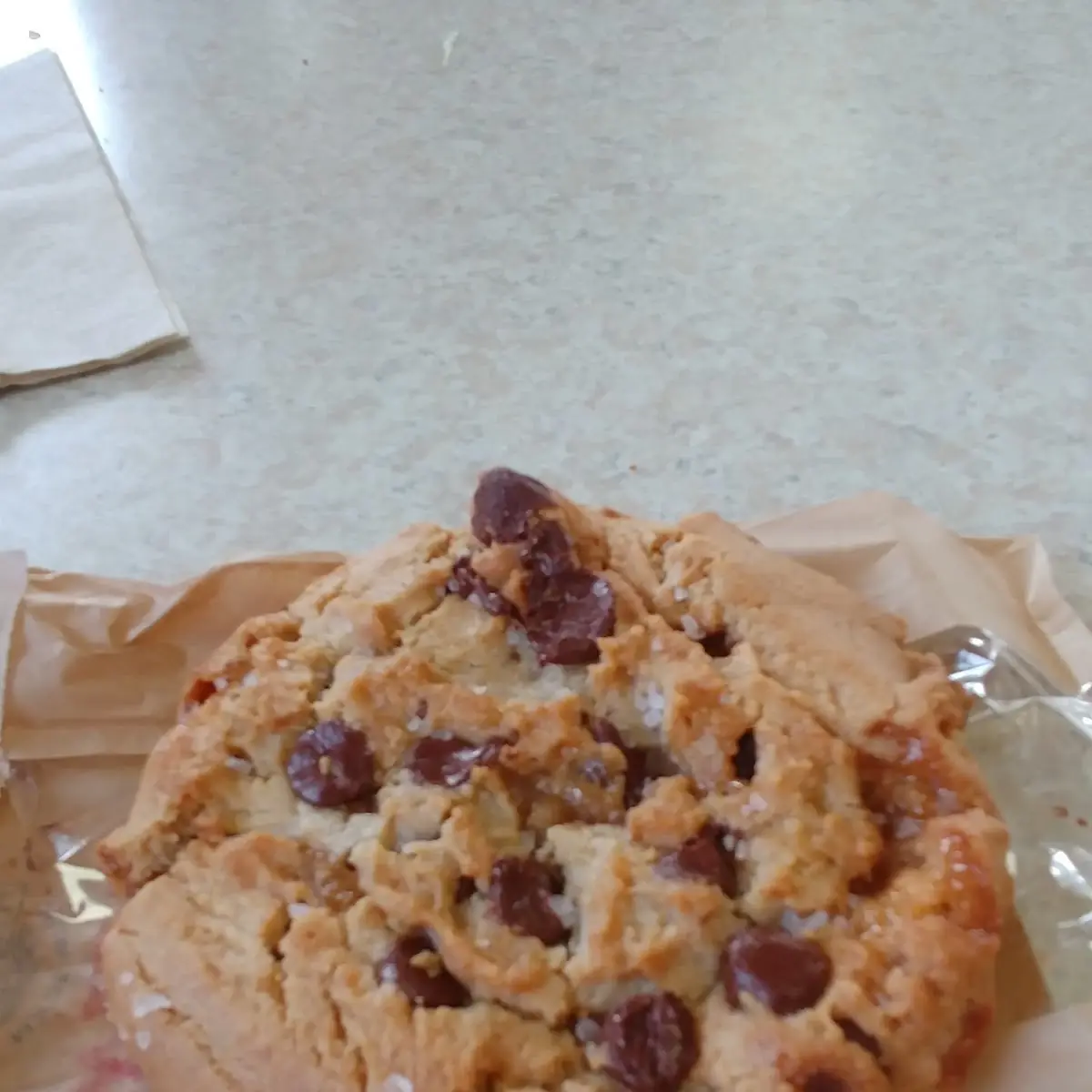 Chocolate Chip Cookie