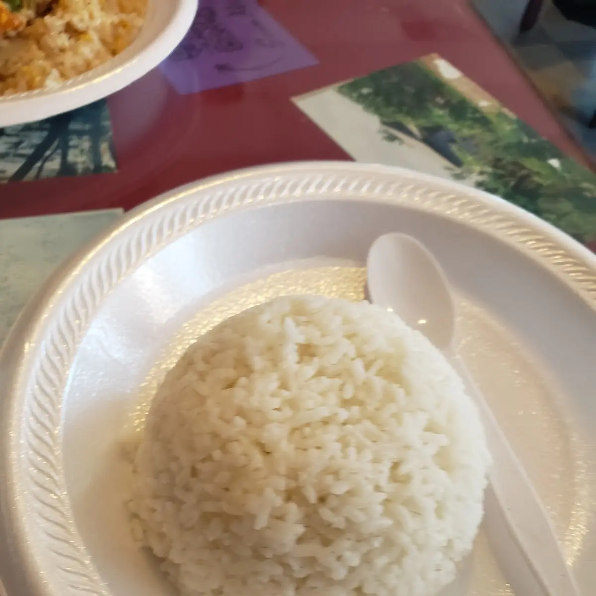 Steamed Rice