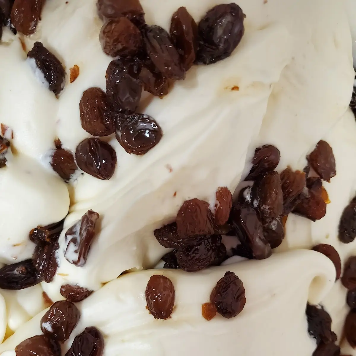 Rum Raisin