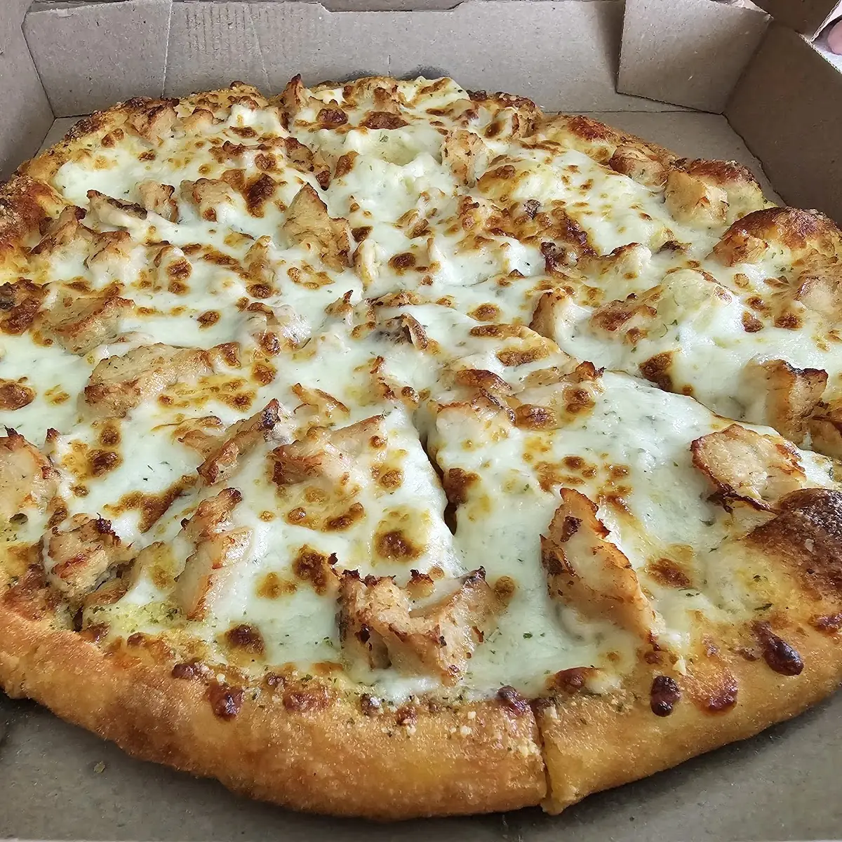 Parmesan Cheese Pizza