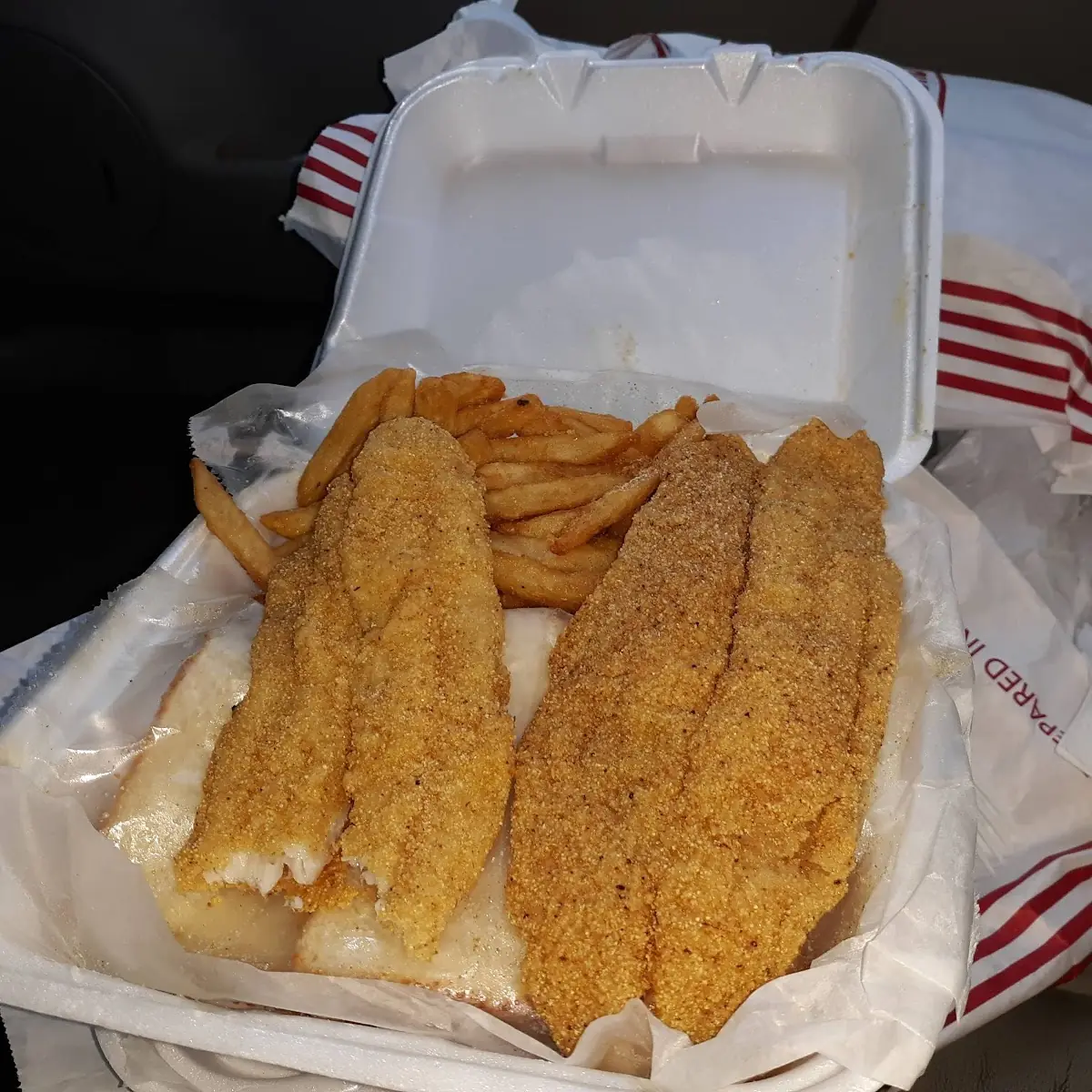 Catfish Fillet and Fries