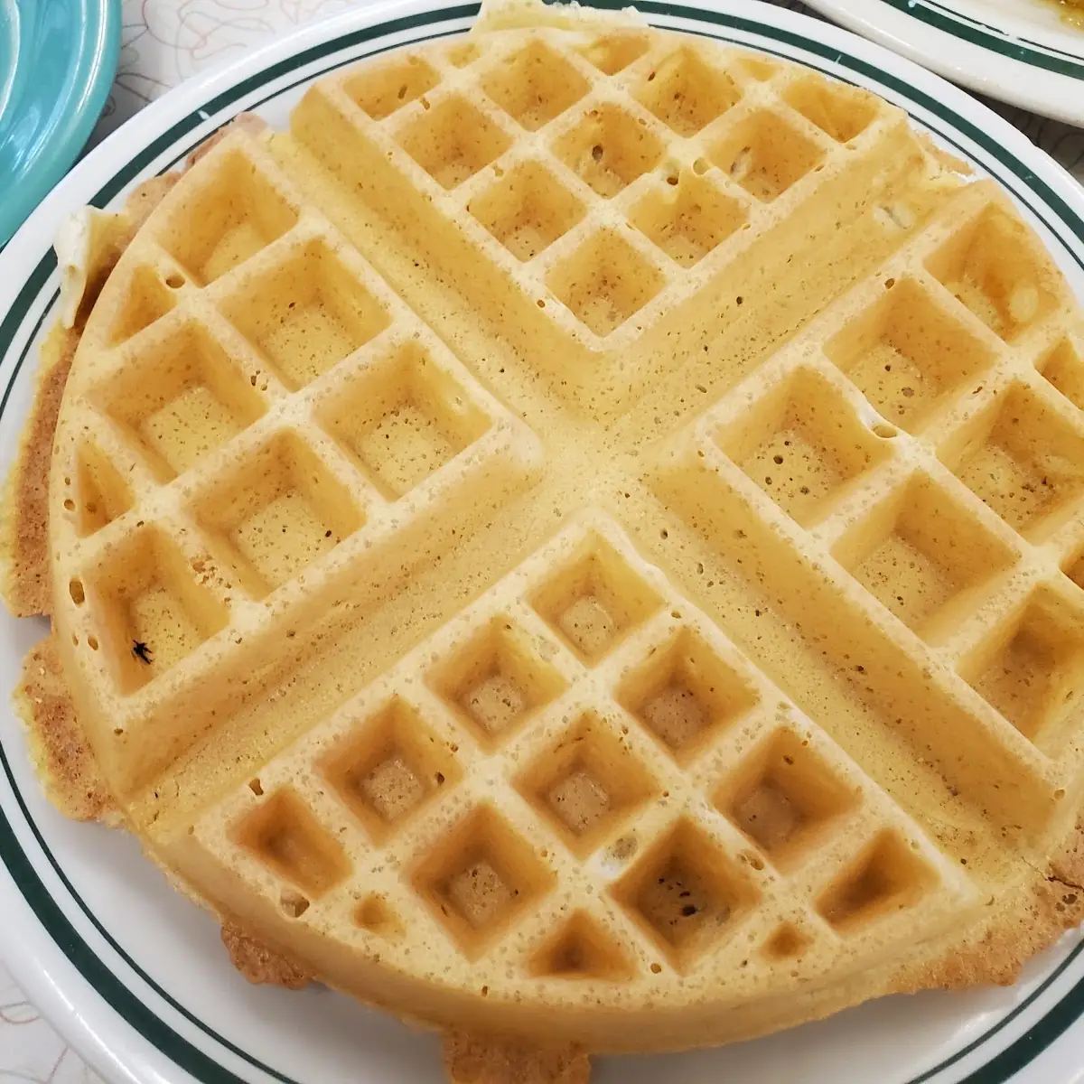 Belgian Waffle