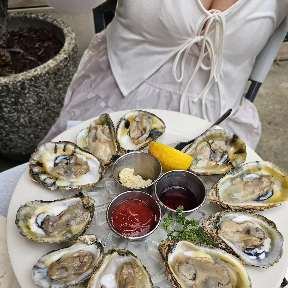 Blue Point Oysters