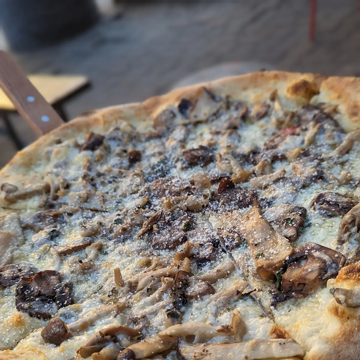 Fontina & Funghi Pizza