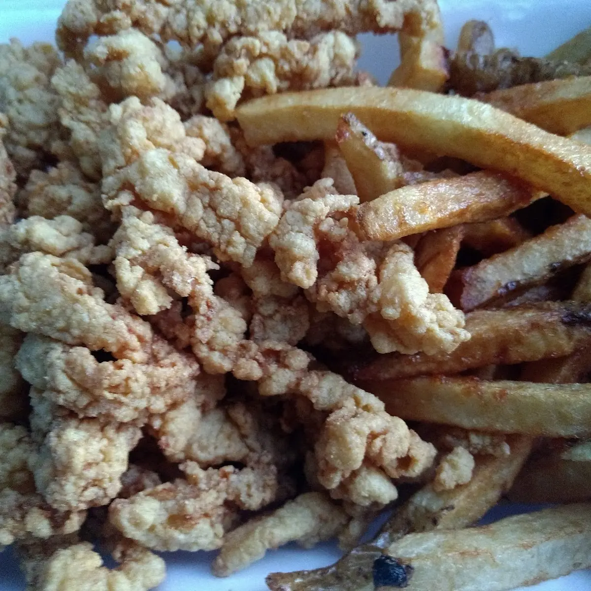 Clam Strips and Fries