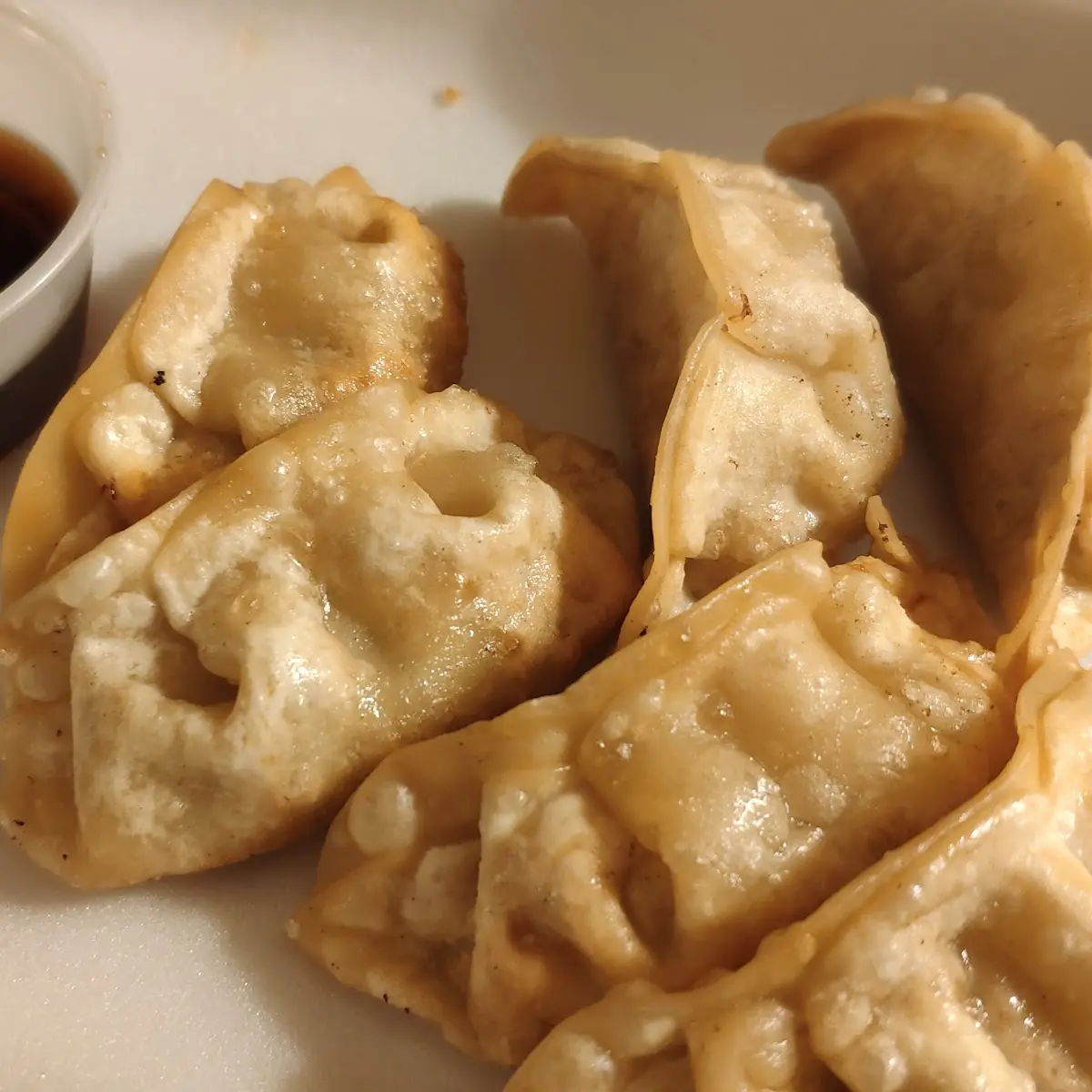 Fried Chicken Dumplings