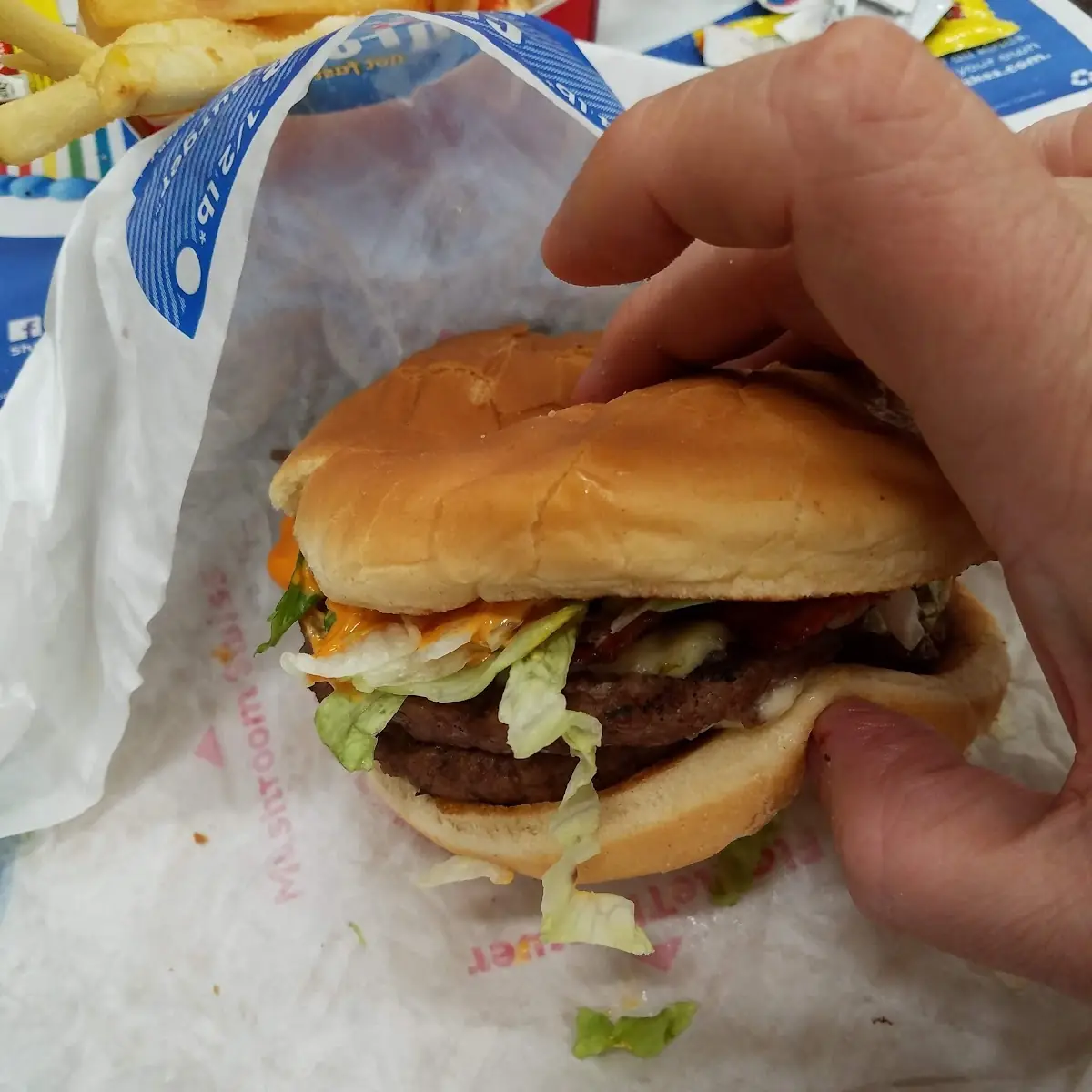 Burger and Fries