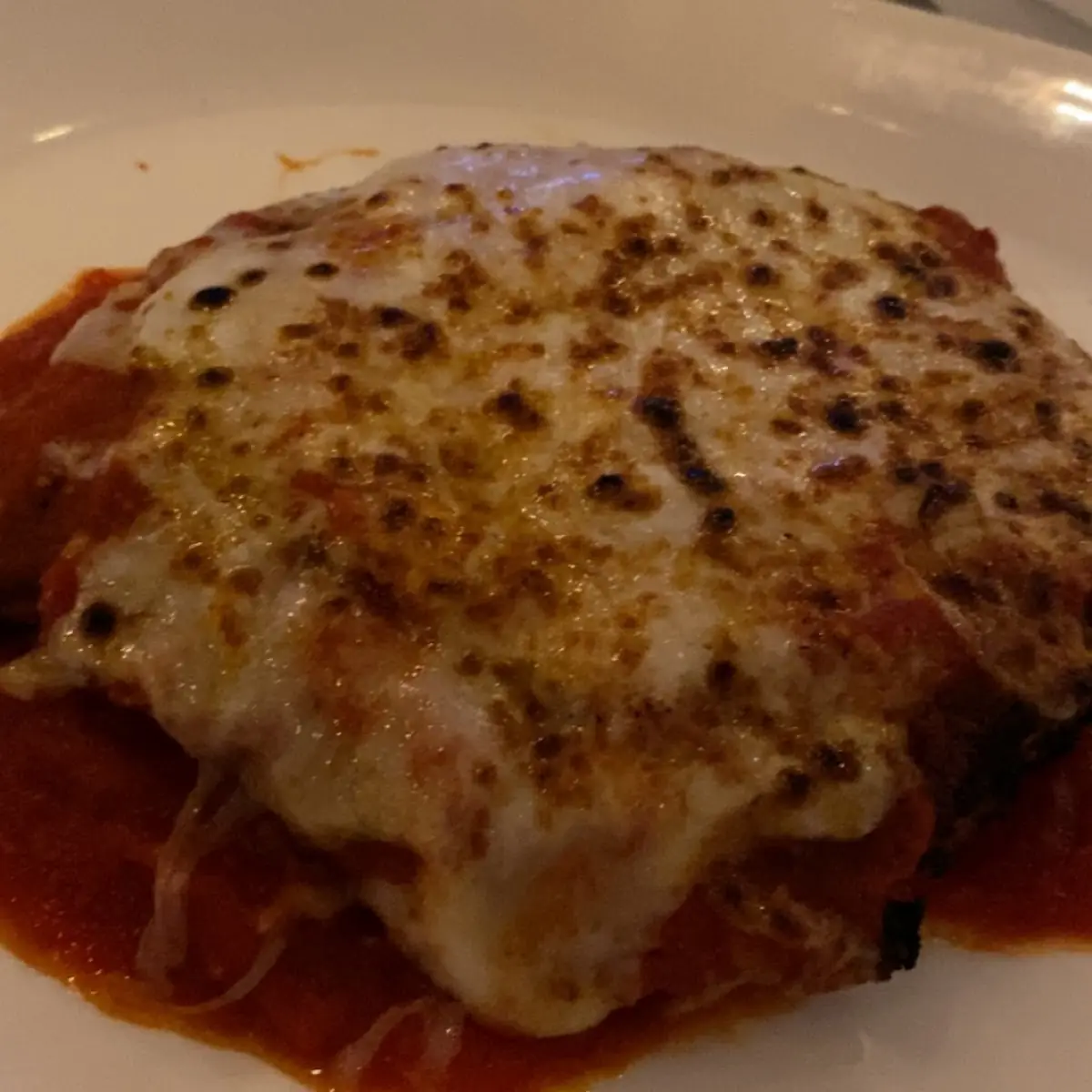 Cheese Pizza Cooked to Perfection