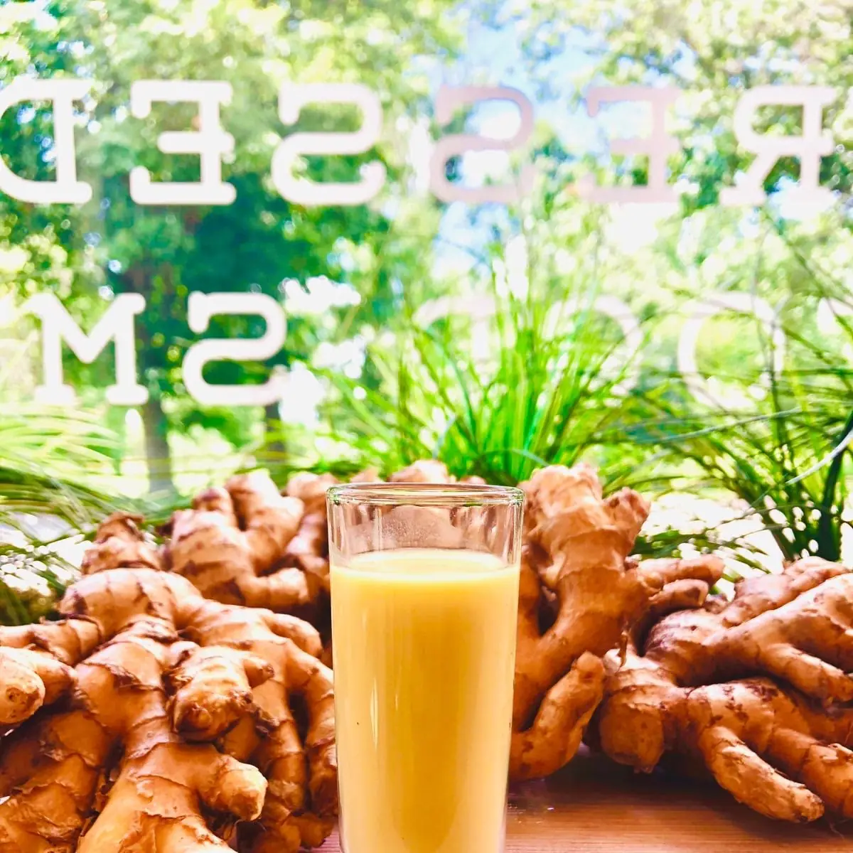 Lemon-Ginger Shot