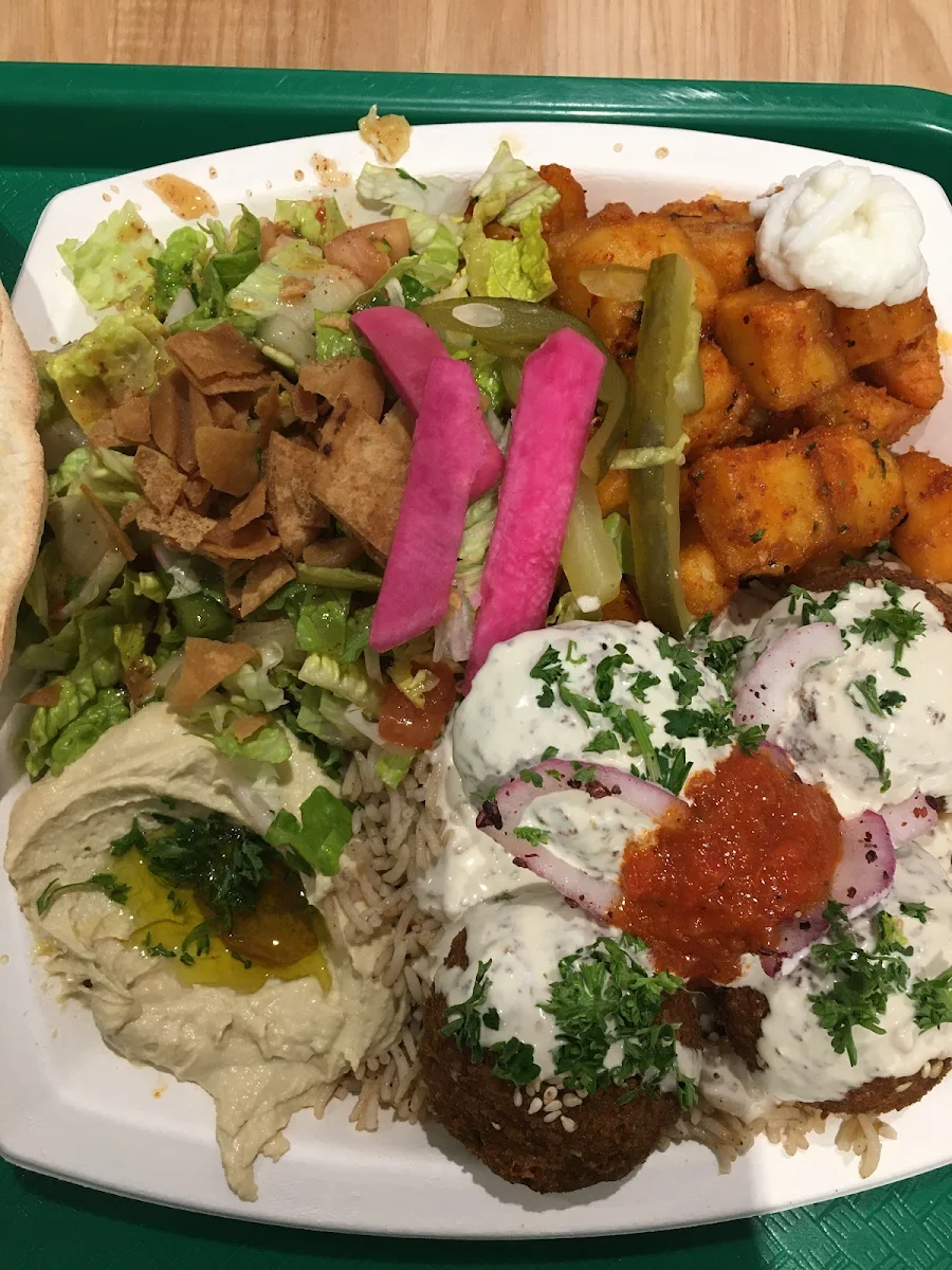 Falafel Plate