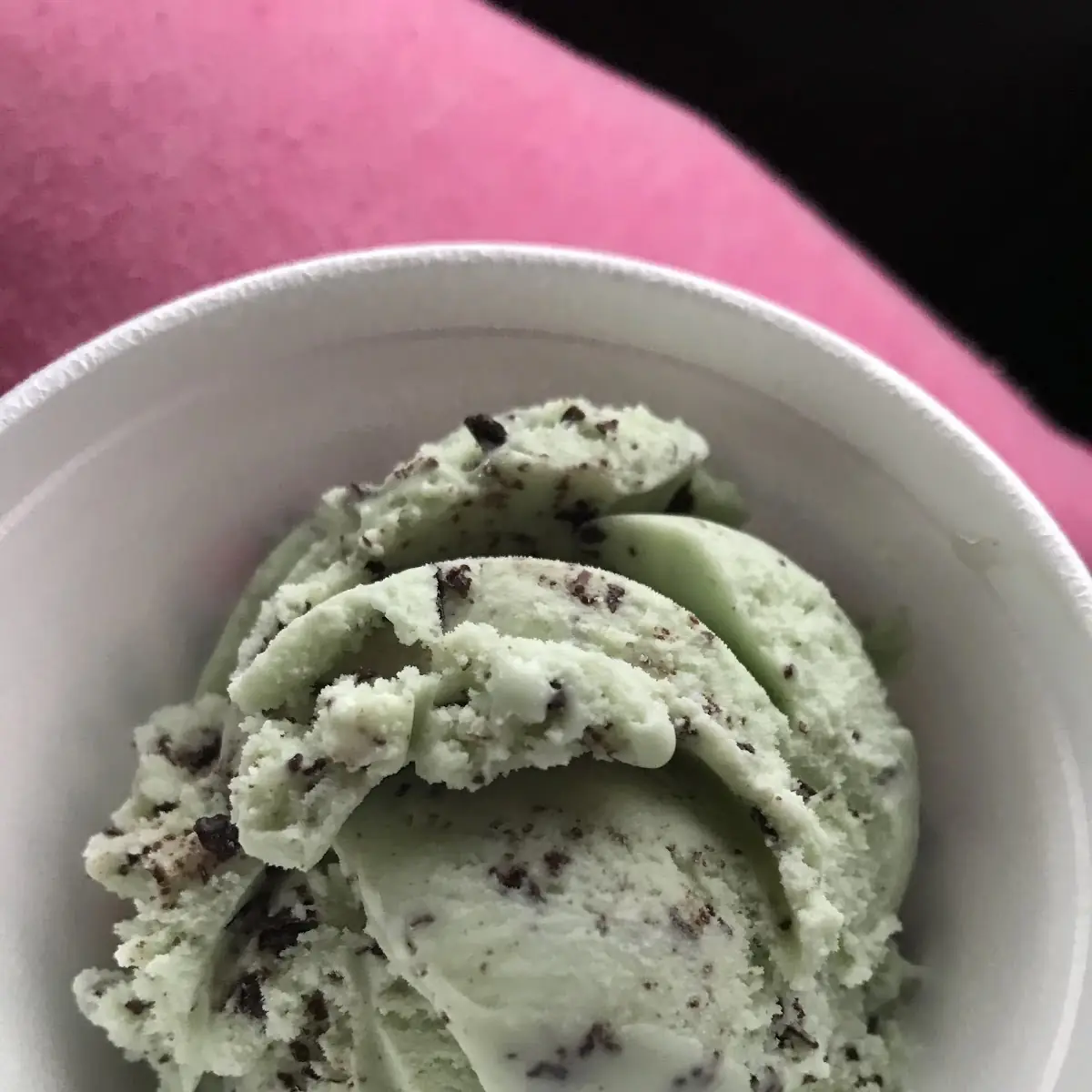 Mint Chocolate Chip Ice Cream