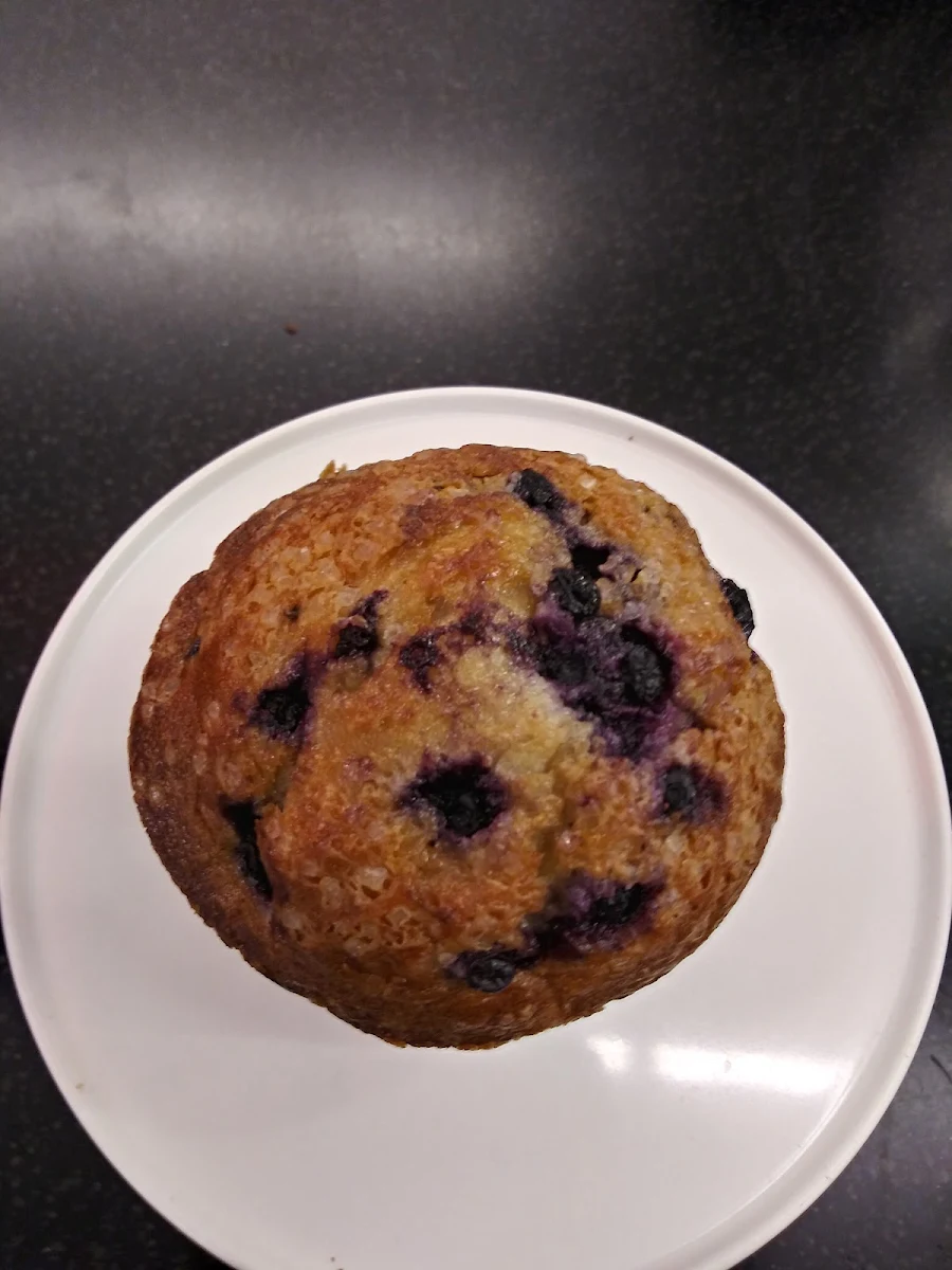 Blueberry Muffin
