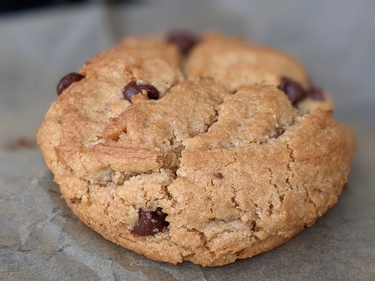 Chocolate Chip Cookie