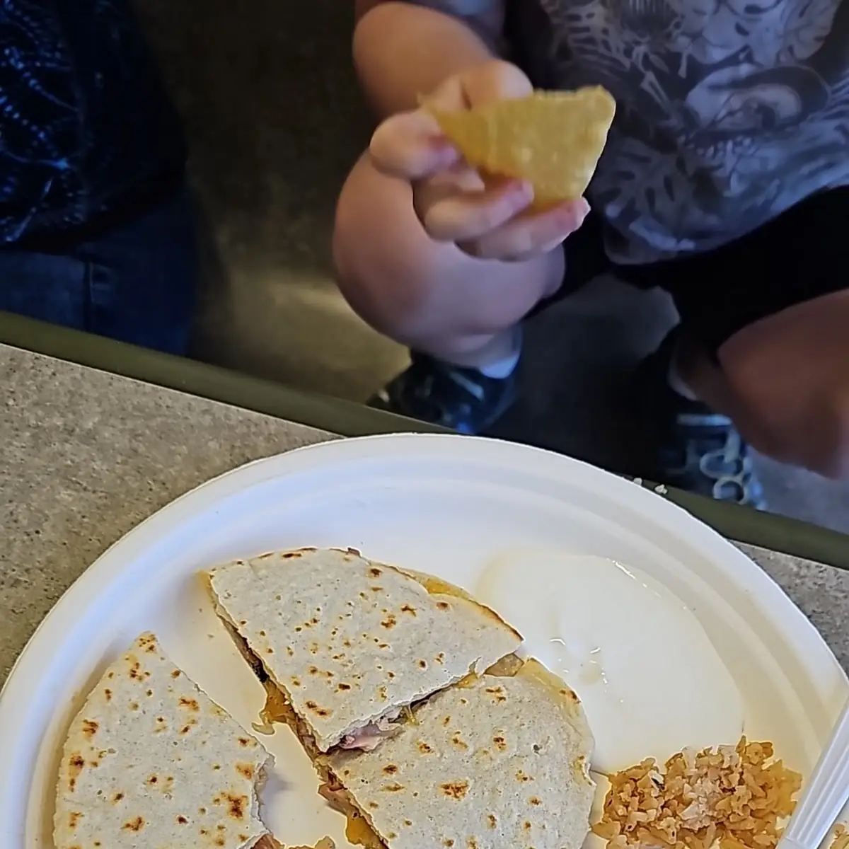 Cheese Quesadilla with Meat