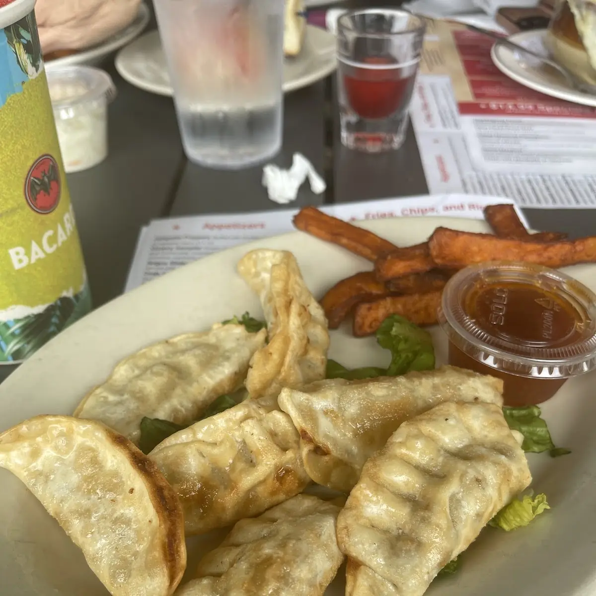 Chicken Pot Stickers