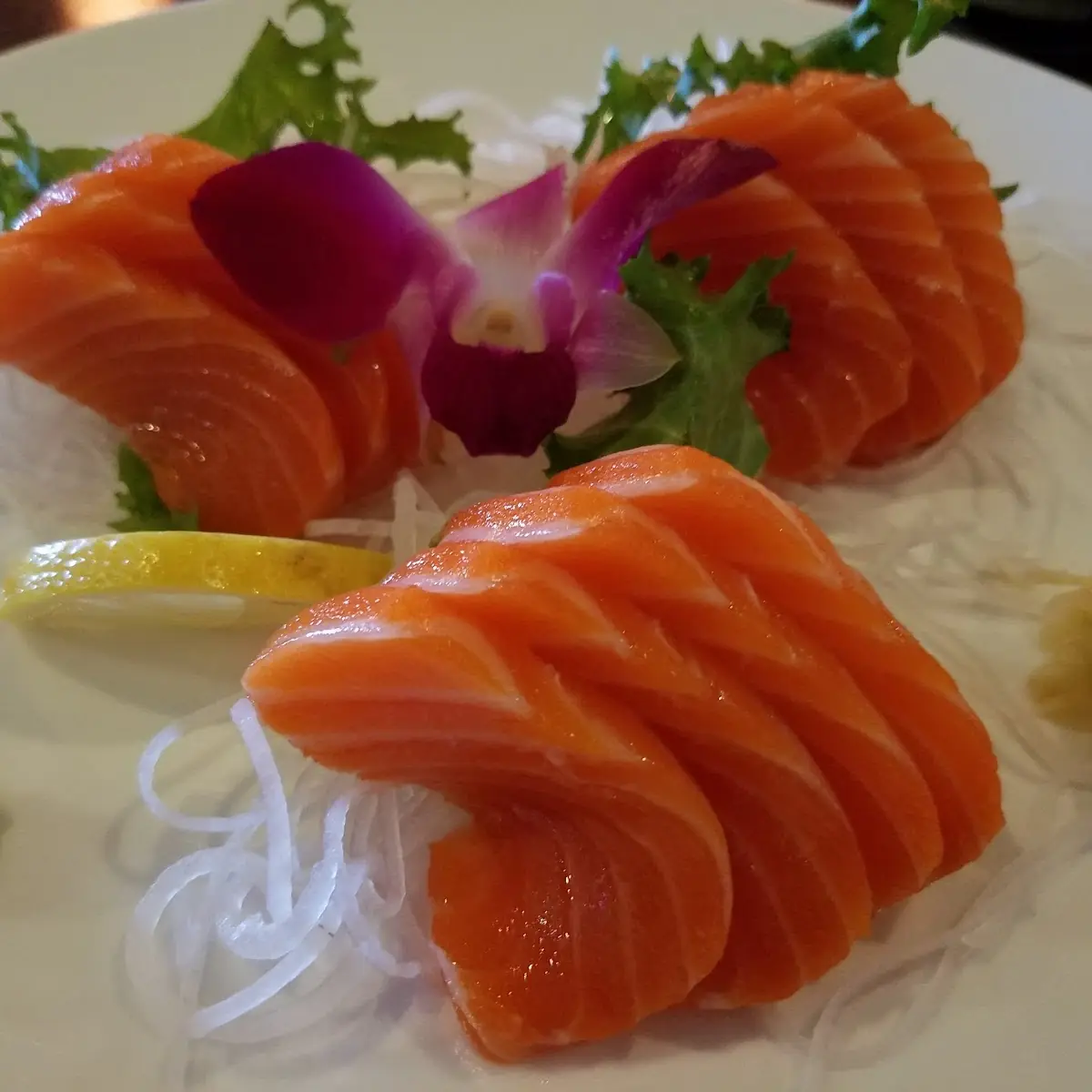 Salmon Sashimi Lunch