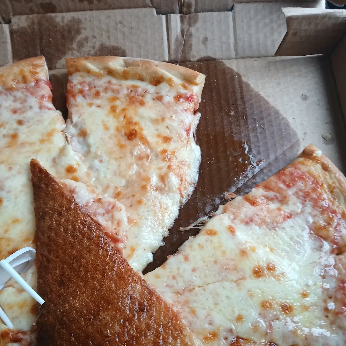 Cheese Pizza