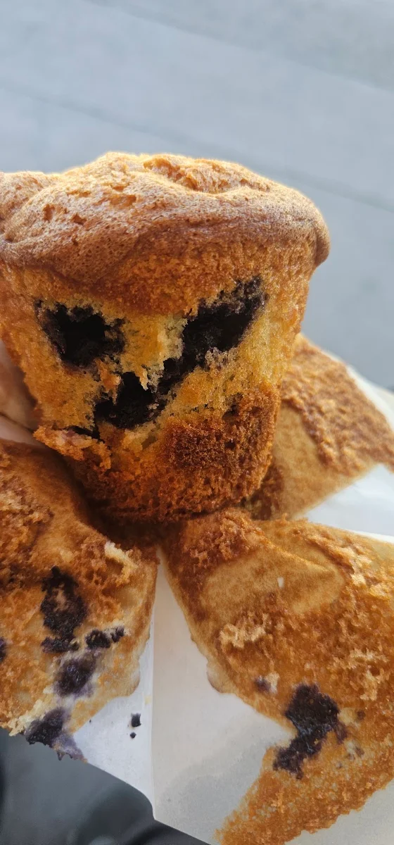 Blueberry Muffin
