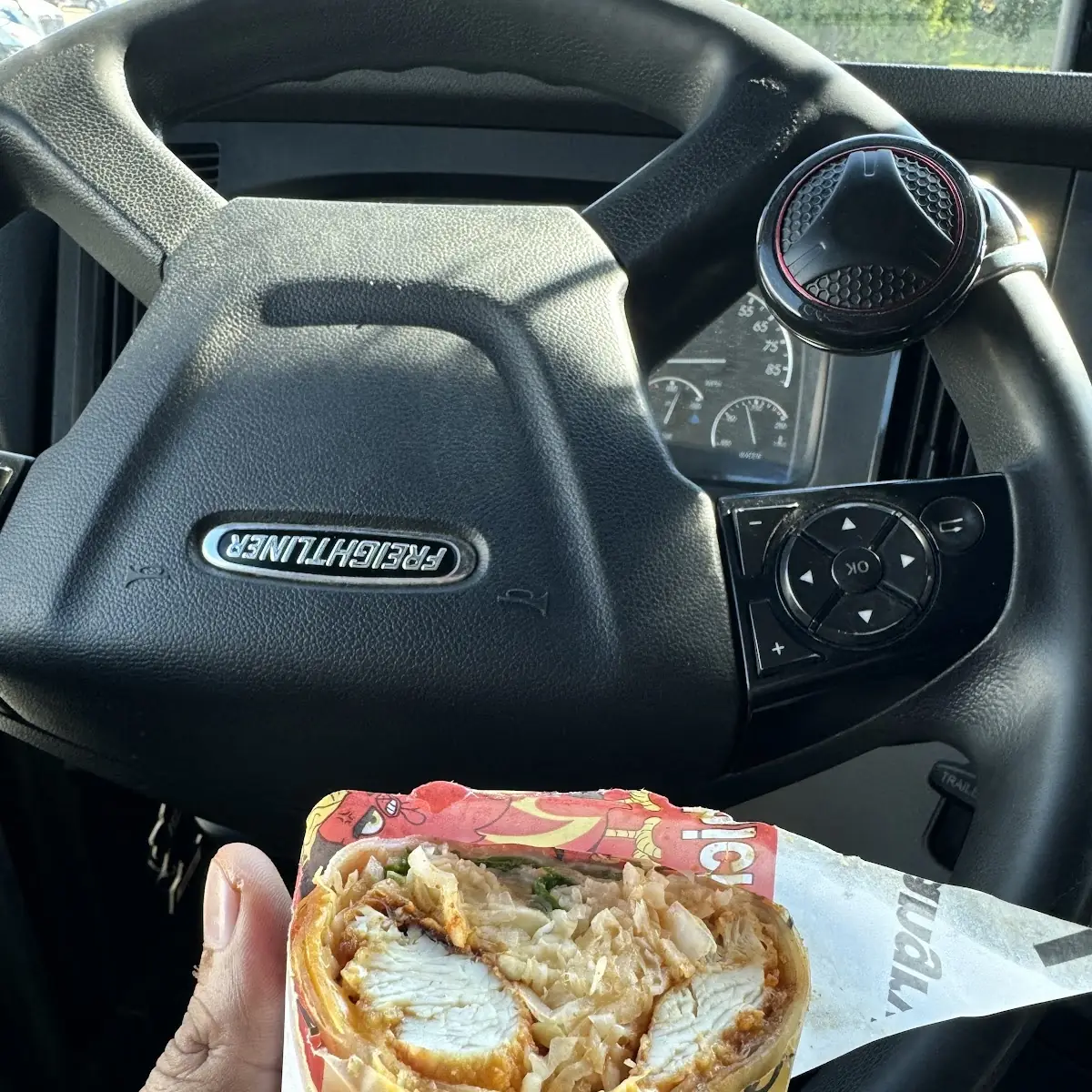 Chicken Wrap