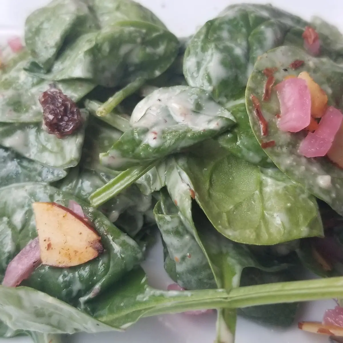 Red Quinoa Spinach Salad