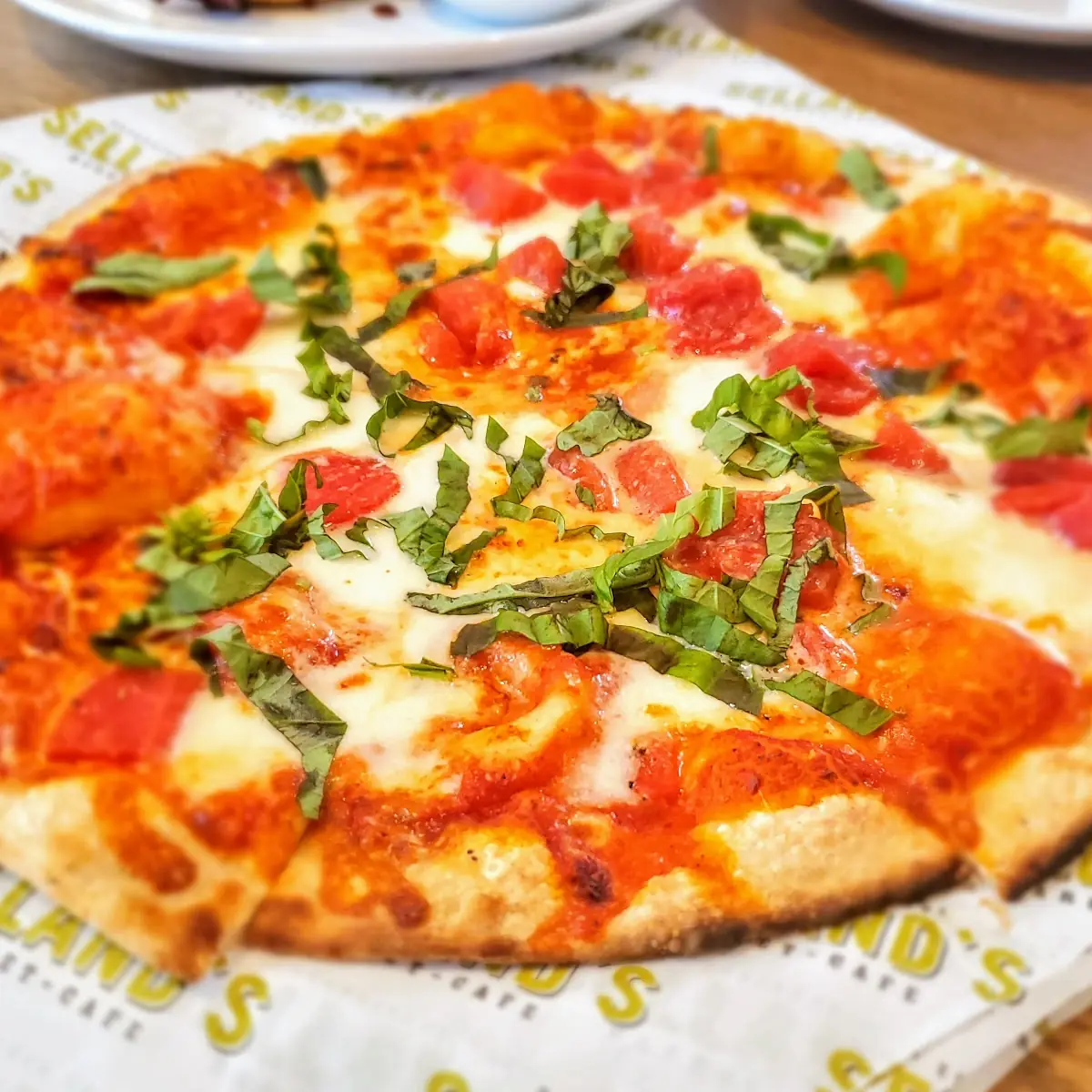 Margherita Pizza
