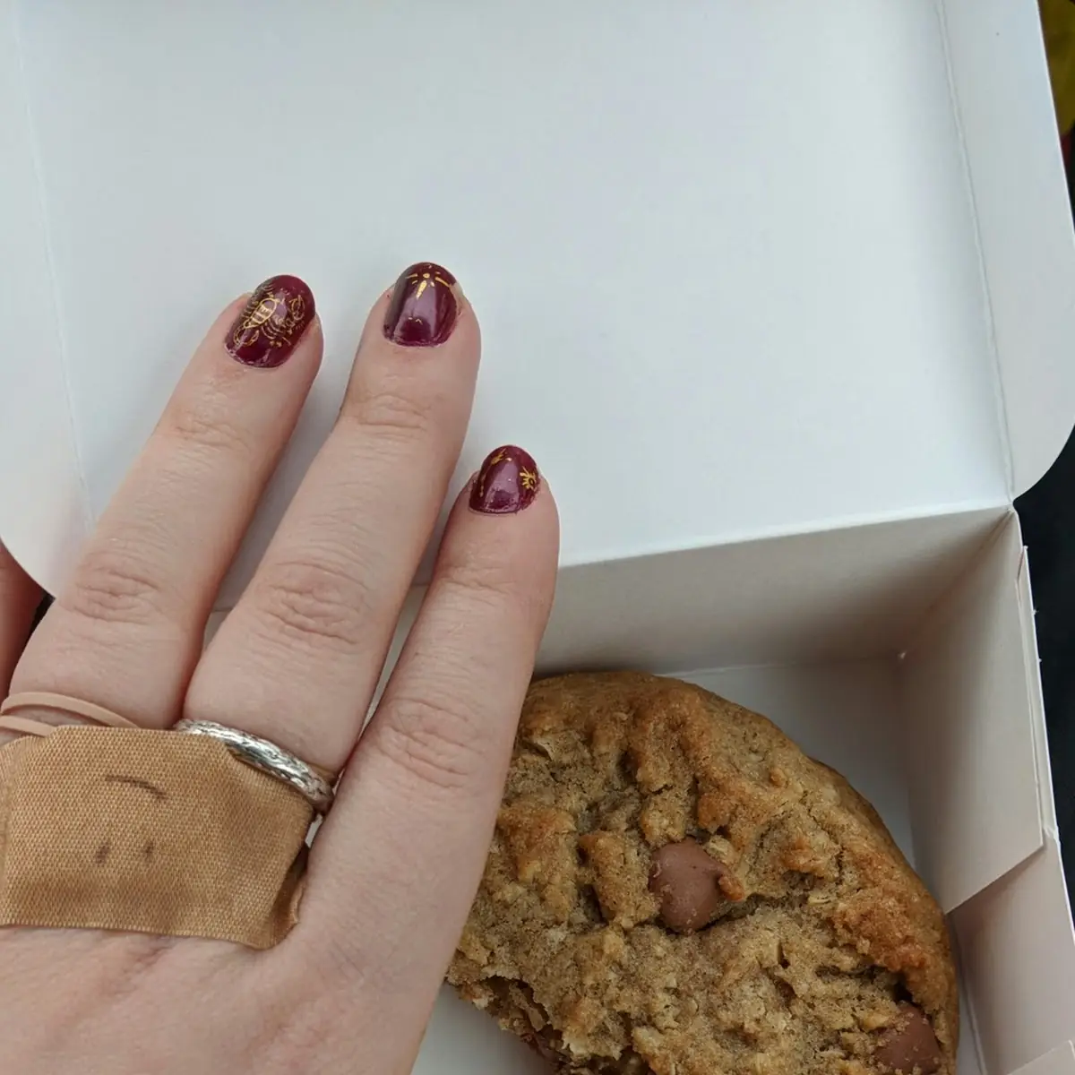 Oatmeal Chocolate Chip Cookie