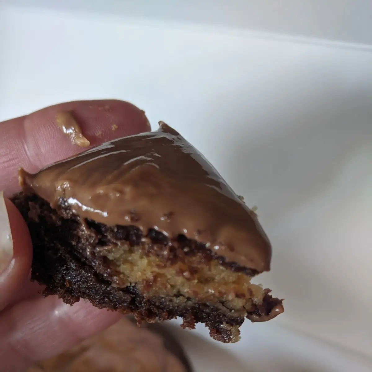Peanut Butter Cookie