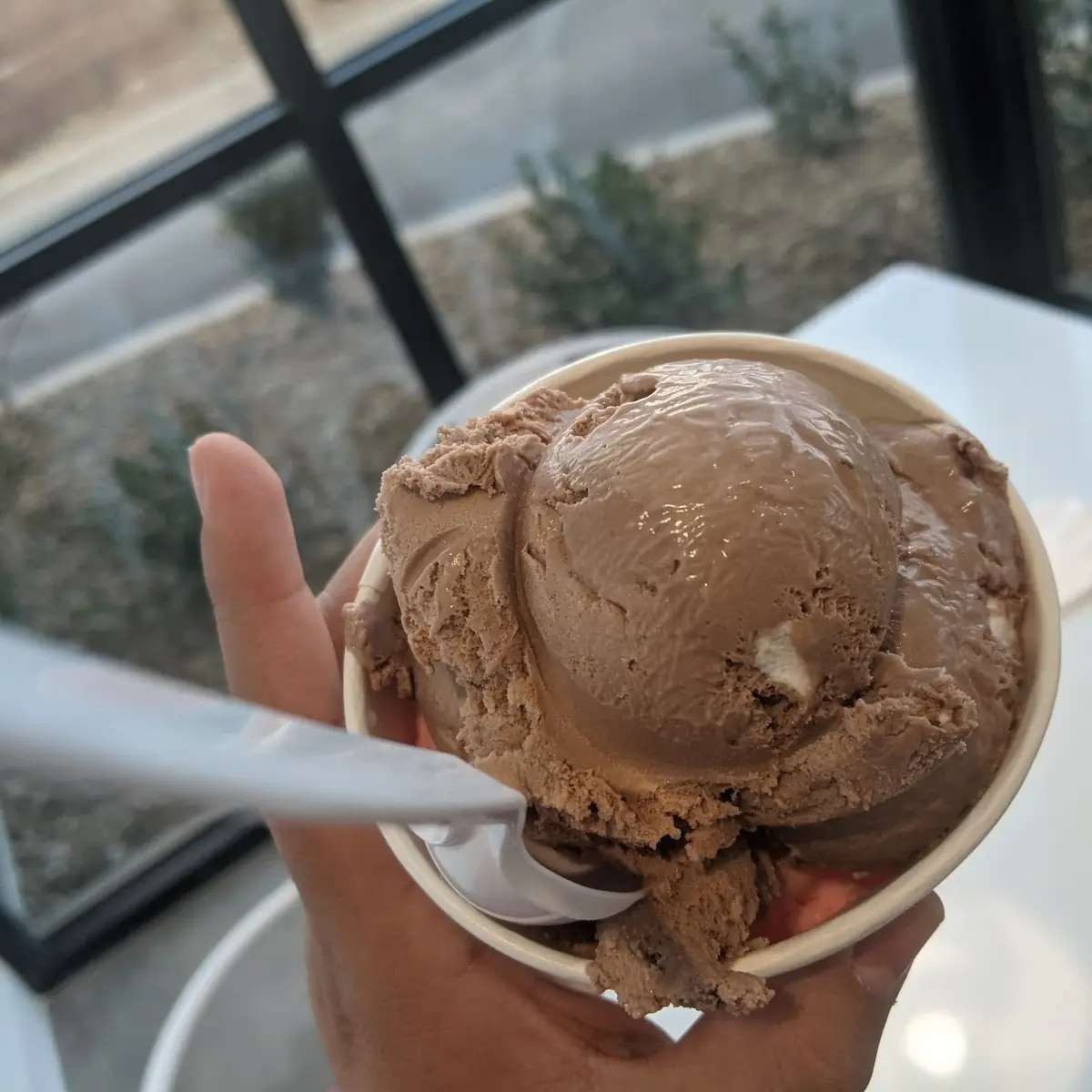 Chocolate Ice Cream