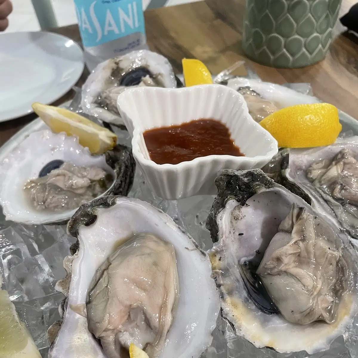 Oysters