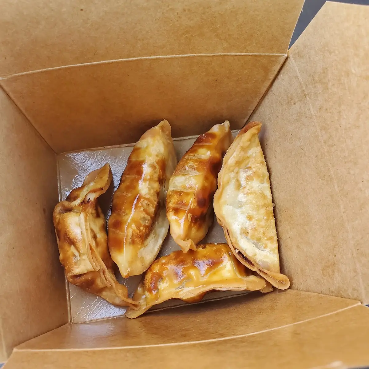 Deep Fried Gyoza