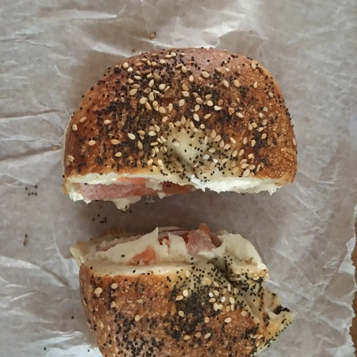 Everything Bagel with Nova