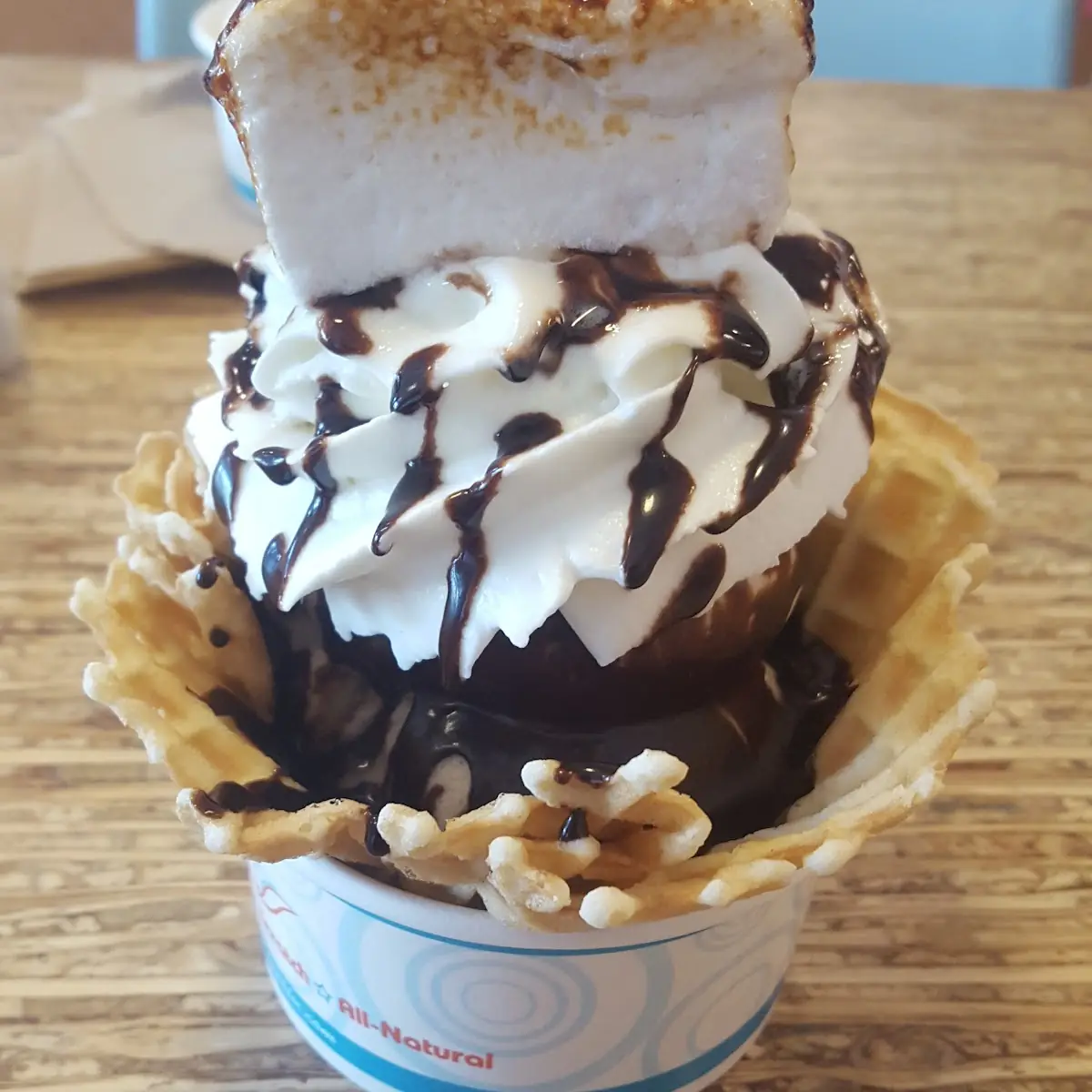 Mini Hot Fudge Sundae